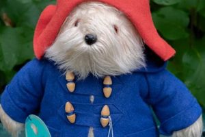 Classic Original Paddington Bear Teddy Toys | Teddy Information – Everything You Need to Know About Teddy Bears