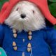 Classic Original Paddington Bear Teddy Toys | Teddy Information – Everything You Need to Know About Teddy Bears