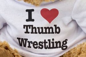 Cuddly Wrestling Teddy Bears: Soft & Strong | Teddy Information – Everything You Need to Know About Teddy Bears