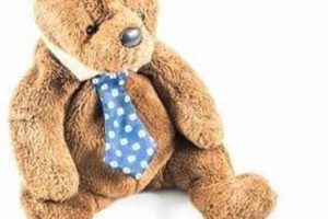 Cuddly Teddy Bearskins in RI | Shop Local | Teddy Information – Everything You Need to Know About Teddy Bears
