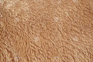 Fix Matted Teddy Bear Fur: Easy Repair Guide | Teddy Information – Everything You Need to Know About Teddy Bears