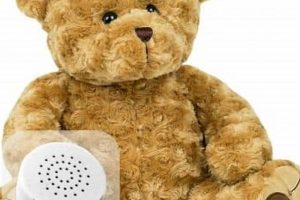 Best Voice Teddy Bears for Kids & Toddlers | Teddy Information – Everything You Need to Know About Teddy Bears