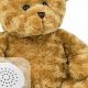 Best Voice Teddy Bears for Kids & Toddlers | Teddy Information – Everything You Need to Know About Teddy Bears