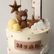 Adorable Teddy Bear Cake Ideas for 1st Birthday Parties | Teddy Information – Everything You Need to Know About Teddy Bears