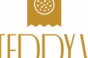 Cuddly Teddy Bears vs. Delicious Cookies | Teddy Information – Everything You Need to Know About Teddy Bears