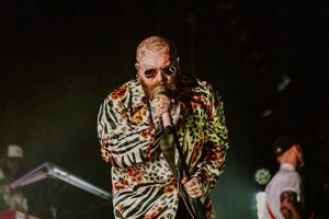 Little Teddy Swims in Boston Harbor! | Teddy Information – Everything You Need to Know About Teddy Bears