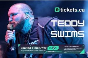 Adventure Teddy Swims Atlantic City Challenge! | Teddy Information – Everything You Need to Know About Teddy Bears