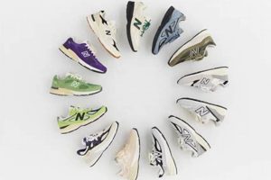 The Ultimate Guide to Teddy Santis Season 5 | Teddy Information – Everything You Need to Know About Teddy Bears