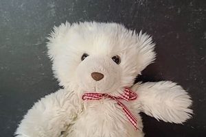 Classic Vintage White Teddy Bears for Sale | Teddy Information – Everything You Need to Know About Teddy Bears