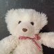 Classic Vintage White Teddy Bears for Sale | Teddy Information – Everything You Need to Know About Teddy Bears