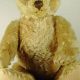 Shop Antique Teddy Bears for Sale | Vintage Plush | Teddy Information – Everything You Need to Know About Teddy Bears