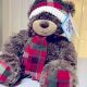 Classic Gentle Treasures Teddy Bear Collection | Teddy Information – Everything You Need to Know About Teddy Bears