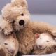 Adorable Mice with Teddy Bears: Cuddly Companions | Teddy Information – Everything You Need to Know About Teddy Bears