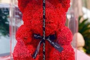 Beautiful Red Rose with Teddy Bear Gifts | Teddy Information – Everything You Need to Know About Teddy Bears