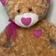 Cuddly Goffa International Teddy Bears for Kids | Teddy Information – Everything You Need to Know About Teddy Bears