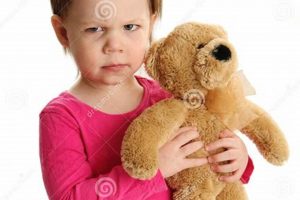 Mad Teddy Bear Teddy Information – Everything You Need to Know About Teddy Bears Mad Teddy Bear | Teddy Information – Everything You Need to Know About Teddy Bears