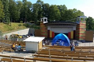 Learn to Swim with Teddy in Birmingham, AL! | Teddy Information – Everything You Need to Know About Teddy Bears