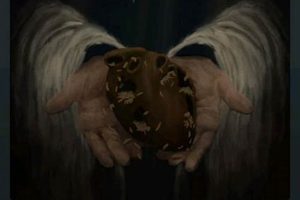 Decoding Teddy Bear Syndrome Lyrics: Meaning & Examples | Teddy Information – Everything You Need to Know About Teddy Bears