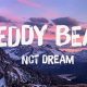 NCT DREAM "Teddy Bear" Lyrics: Comforting Ballad | Teddy Information – Everything You Need to Know About Teddy Bears