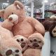 Giant 53 Inch Plush Teddy Bear: Cuddly Companion | Teddy Information – Everything You Need to Know About Teddy Bears