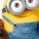 Cute Tim Minion Teddy Bear Plush Toys | Teddy Information – Everything You Need to Know About Teddy Bears