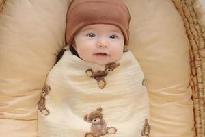 Teddy Swaddle | Teddy Information – Everything You Need to Know About Teddy Bears