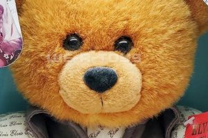 Who Sings "Teddy Bear"? Song &amp; Artist Info | Teddy Information – Everything You Need to Know About Teddy Bears