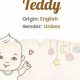 Teddy Bear Name Meaning & Origin | Teddy Information – Everything You Need to Know About Teddy Bears