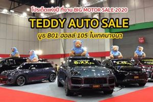 Cuddly Teddy Auto Sale: Deals &amp; Hugs | Teddy Information – Everything You Need to Know About Teddy Bears