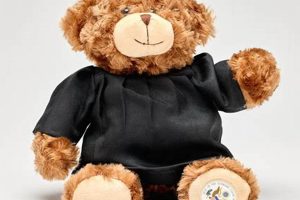 Demand Justice for Teddy: Stop Animal Cruelty | Teddy Information – Everything You Need to Know About Teddy Bears
