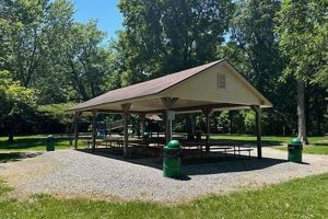 Visit McLean Teddy Bear Park: A Cuddly Adventure | Teddy Information – Everything You Need to Know About Teddy Bears