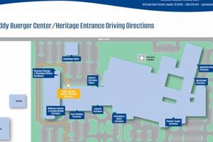 The Teddy Buerger Center: Seguin's Caring Home | Teddy Information – Everything You Need to Know About Teddy Bears