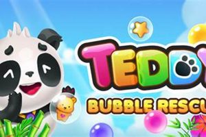 Fun Teddy Games for Kids: Play & Learn | Teddy Information – Everything You Need to Know About Teddy Bears