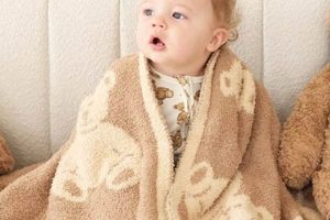 Cozy Teddy Blankets for Sweet Dreams | Teddy Information – Everything You Need to Know About Teddy Bears