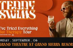 Adventure of Teddy Swims Reno: A Tale | Teddy Information – Everything You Need to Know About Teddy Bears