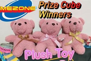 Win a Cute Teddy Bear Prize! | Teddy Information – Everything You Need to Know About Teddy Bears