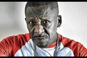 Is "Teddy Bruck Shut" a Thing? Meaning & FAQs | Teddy Information – Everything You Need to Know About Teddy Bears