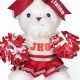 Cute Cheerleading Teddy Bears: Shop Now! | Teddy Information – Everything You Need to Know About Teddy Bears