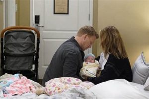 Grey's: When Teddy Tells Owen About the Baby & Aftermath | Teddy Information – Everything You Need to Know About Teddy Bears