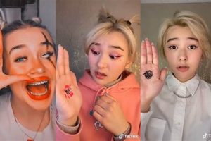 Meet Teddy: Teddy Says Hi! | Teddy Information – Everything You Need to Know About Teddy Bears