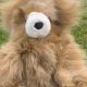Teddy Bear Alpaca | Teddy Information – Everything You Need to Know About Teddy Bears