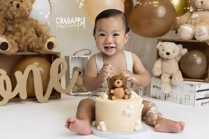 Adorable Teddy Bear Smash Cakes for First Birthdays Teddy Information – Everything You Need to Know About Teddy Bears Adorable Teddy Bear Smash Cakes for First Birthdays | Teddy Information – Everything You Need to Know About Teddy Bears