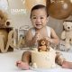 Adorable Teddy Bear Smash Cakes for First Birthdays | Teddy Information – Everything You Need to Know About Teddy Bears