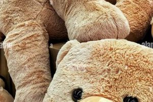 Shop Cool Teddy Bears: Plush & Cute | Teddy Information – Everything You Need to Know About Teddy Bears
