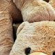 Shop Cool Teddy Bears: Plush & Cute | Teddy Information – Everything You Need to Know About Teddy Bears