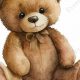 Adorable Clear Teddy Bears: A Closer Look | Teddy Information – Everything You Need to Know About Teddy Bears