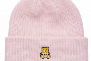 Stylish Teddy Fresh Beanies: Cozy & Cool | Teddy Information – Everything You Need to Know About Teddy Bears