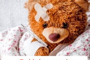 Teddy Bear Repair & Restoration Near Me Teddy Information – Everything You Need to Know About Teddy Bears Teddy Bear Repair & Restoration Near Me | Teddy Information – Everything You Need to Know About Teddy Bears