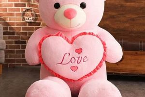Cuddly Teddy Bears: Cash on Delivery! | Teddy Information – Everything You Need to Know About Teddy Bears