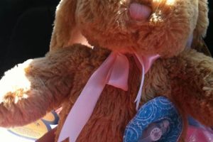 Cuddly Comfort: Teddy Bears with Feeding Tubes Teddy Information – Everything You Need to Know About Teddy Bears Cuddly Comfort: Teddy Bears with Feeding Tubes | Teddy Information – Everything You Need to Know About Teddy Bears